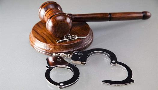 广州刑事律师——走私普通货物商品罪认定要点(7个典型案例判决)